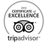 TripAdvisor