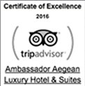 TripAdvisor 2016