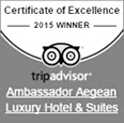 TripAdvisor 2015